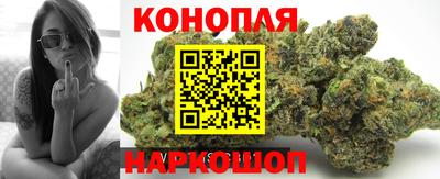 СК Будённовск