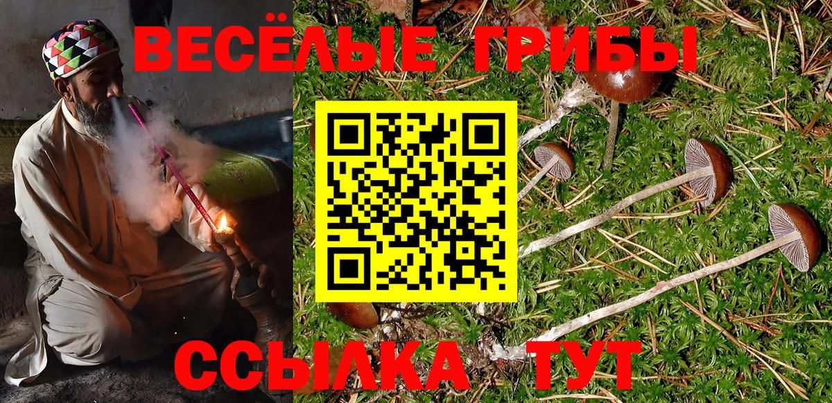 Галлюциногенные грибы прущие грибы  Вход с VPN  Сергиев Посад 